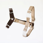 Puppaccino Strap Dog Harness - Modern Companion