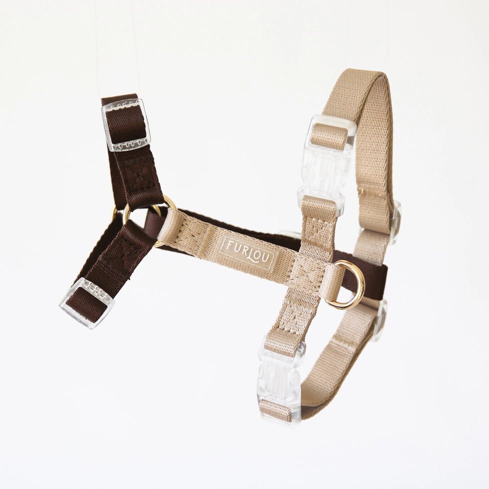 Modern dog harness best sale