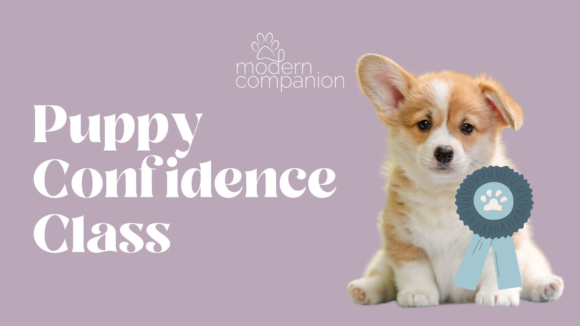 Puppy Confidence Class - Modern Companion