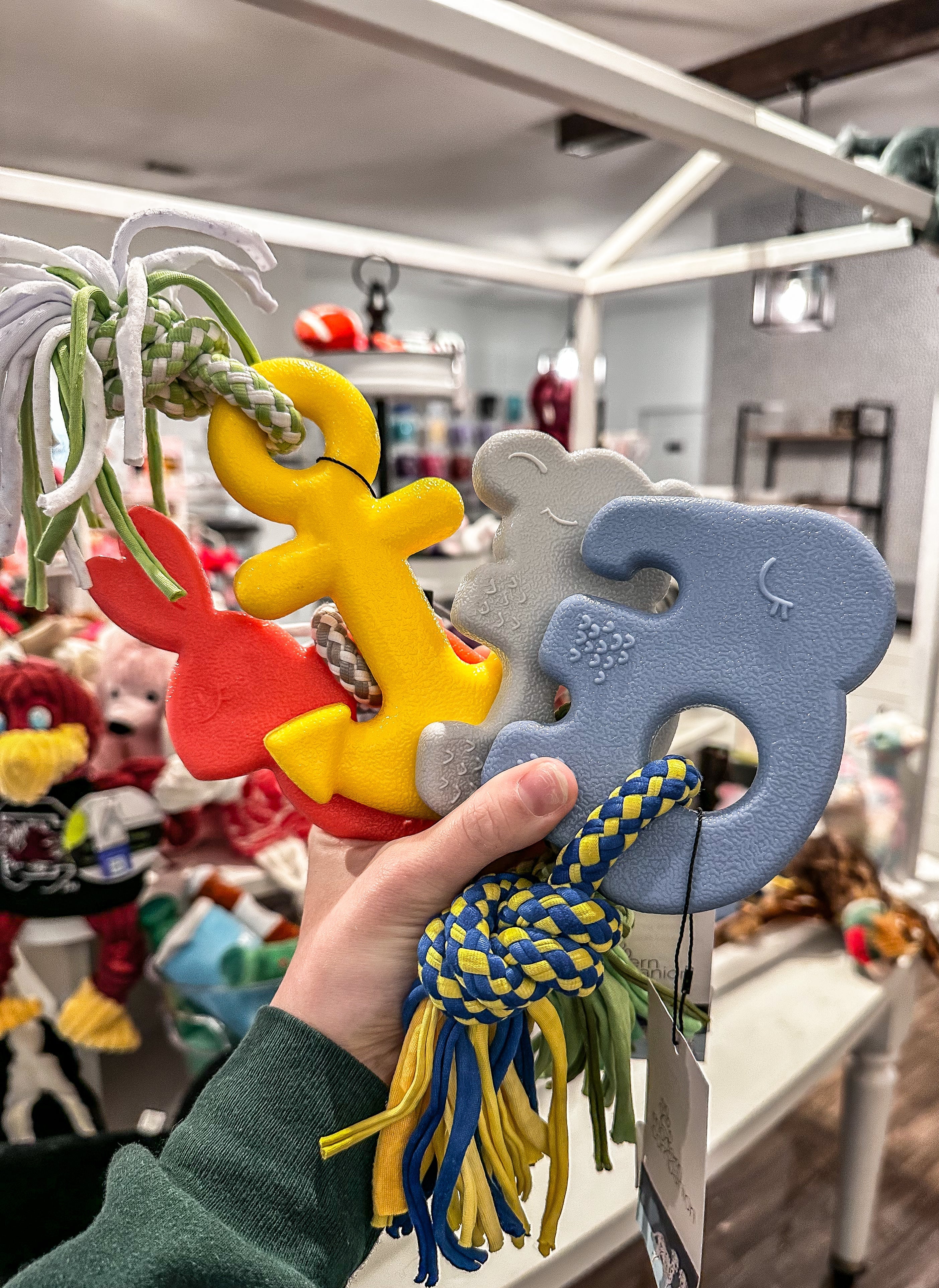 Puppy Teethers - Modern Companion