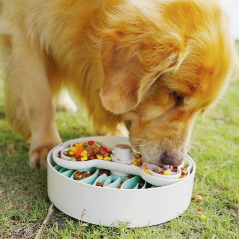 Pet top puzzle bowl
