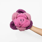 Red Cabbage Nosework Toy - Modern Companion