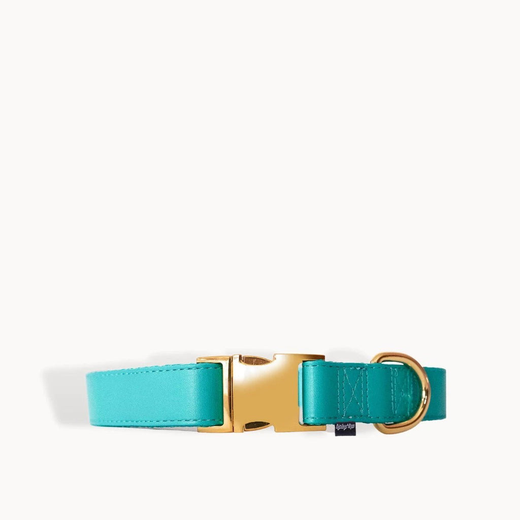 Riot Grwl Collar - Modern Companion