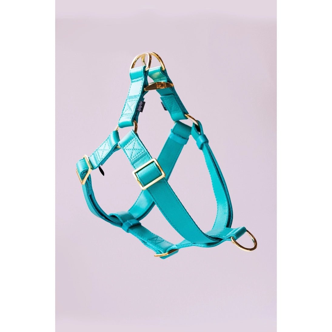 Riot Grwl Vegan Leather Harness - Modern Companion