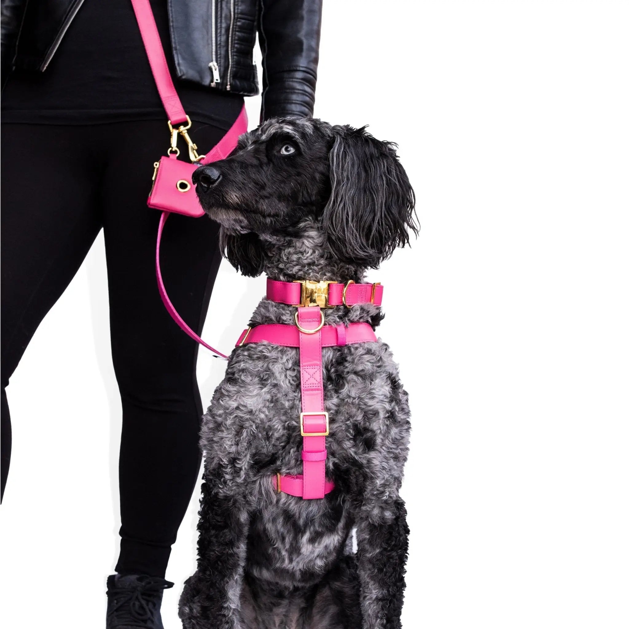 Riot Grwl Vegan Leather Harness - Modern Companion