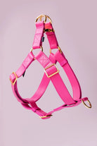 Riot Grwl Vegan Leather Harness - Modern Companion