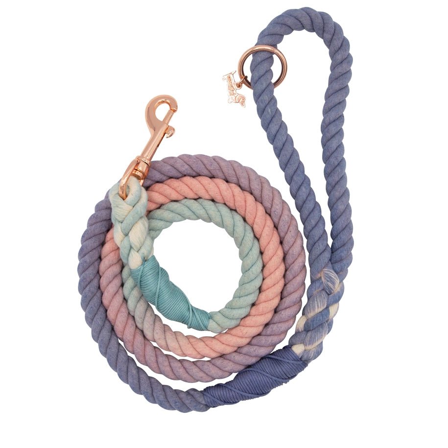 Rope Leash - Orchid - Modern Companion
