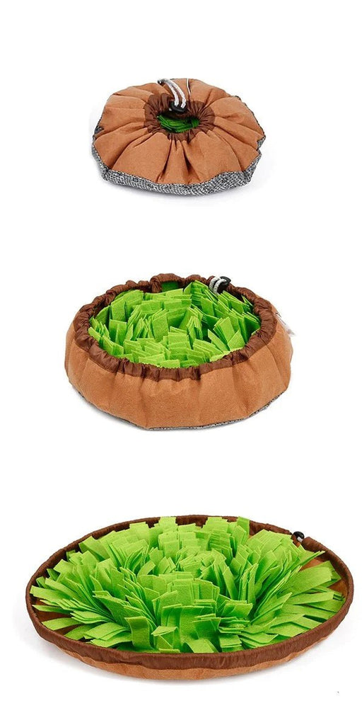 Salad Bowl Snuffle Mat - Modern Companion