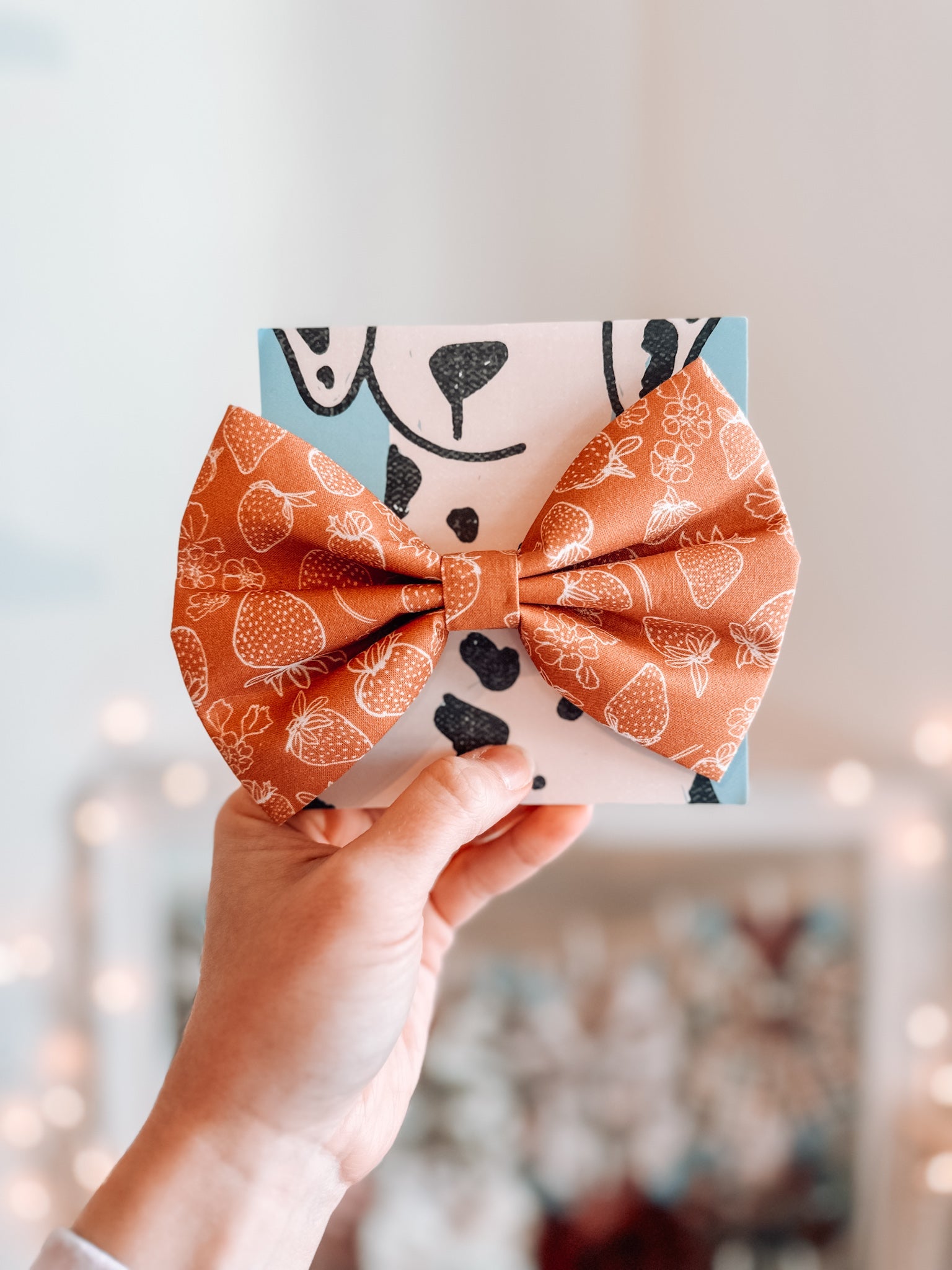 Senga Bow Tie - Modern Companion