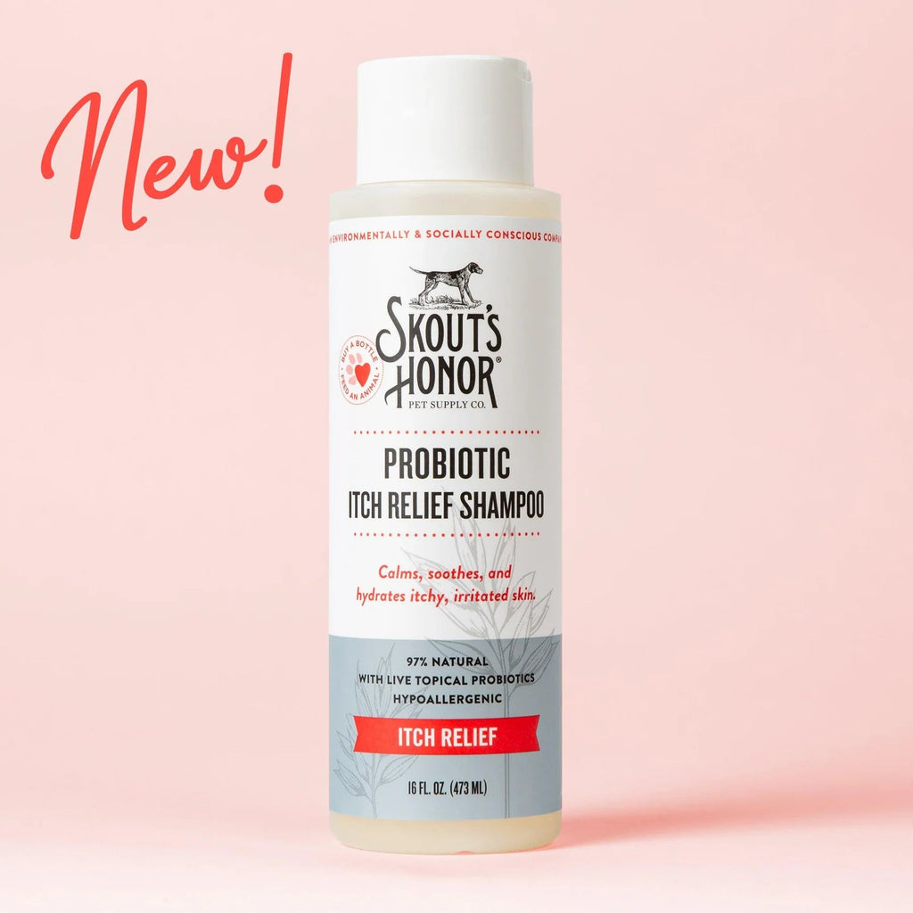 Skouts Honor Probiotic Relief Shampoo 16oz - Modern Companion
