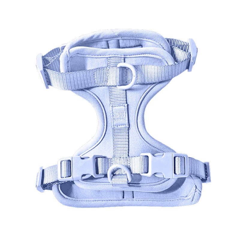 Sky Blue Pet Harness - Modern Companion