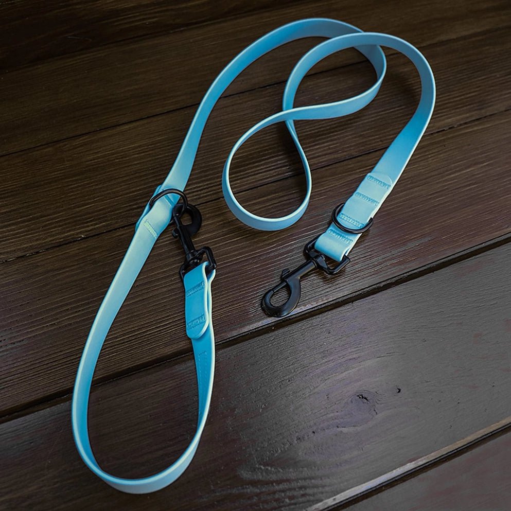 Sky Blue Waterproof Leash - Modern Companion