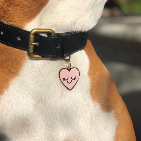 Smiling Heart Pet ID Tag - Modern Companion