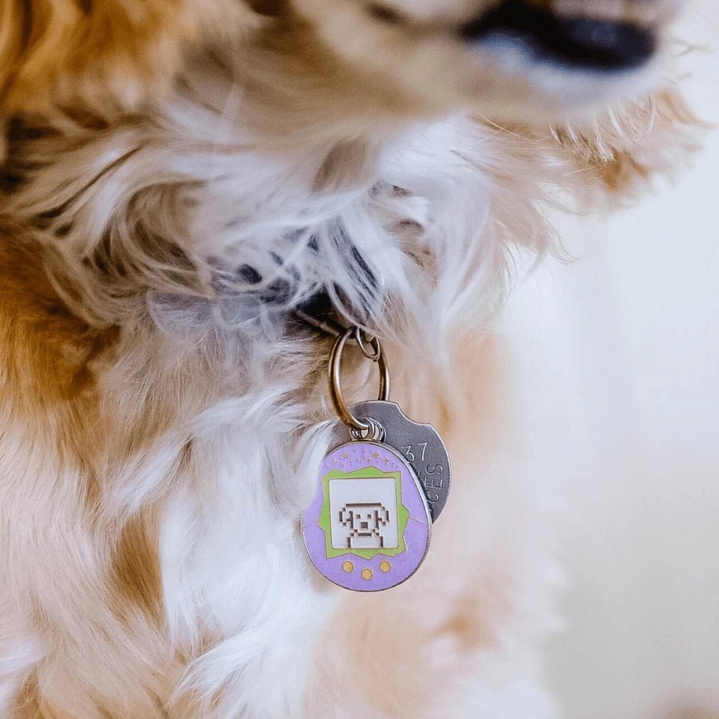Order dog name tag online