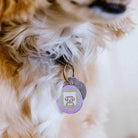 Tamagotchi Dog Pet ID Tag - Modern Companion