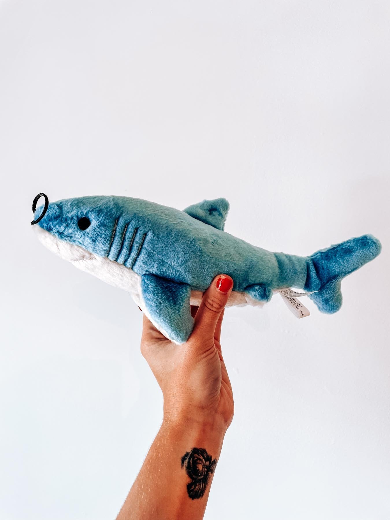 Tank Shark - Modern Companion