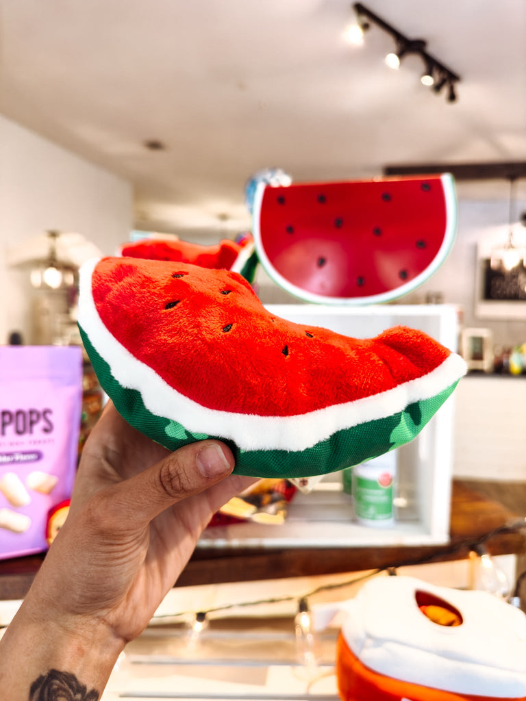Wagging Watermelon Toy - Modern Companion
