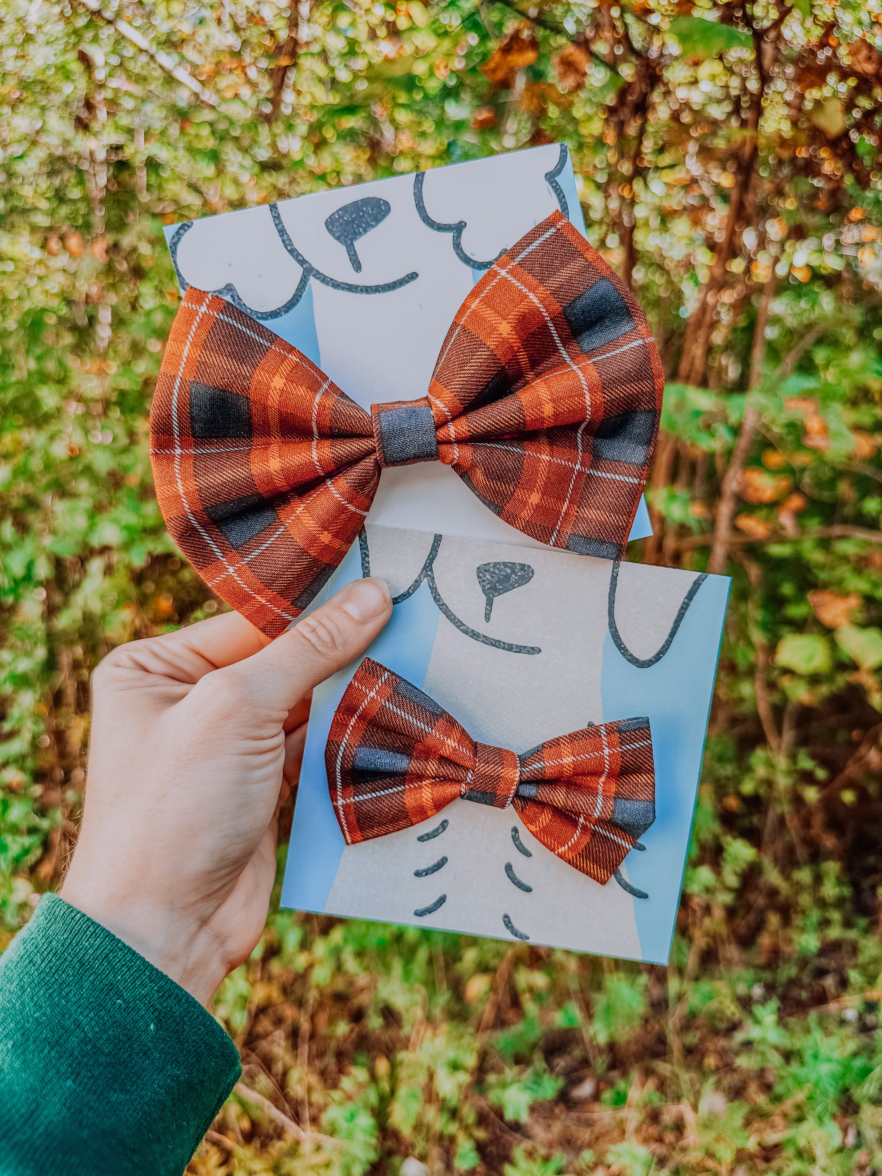 Willow Pet Bow Tie - Modern Companion